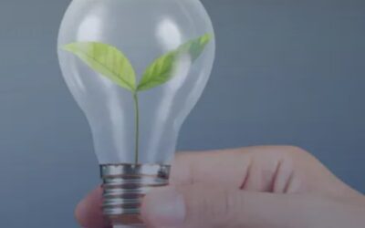 Energy-saving tips for businesses